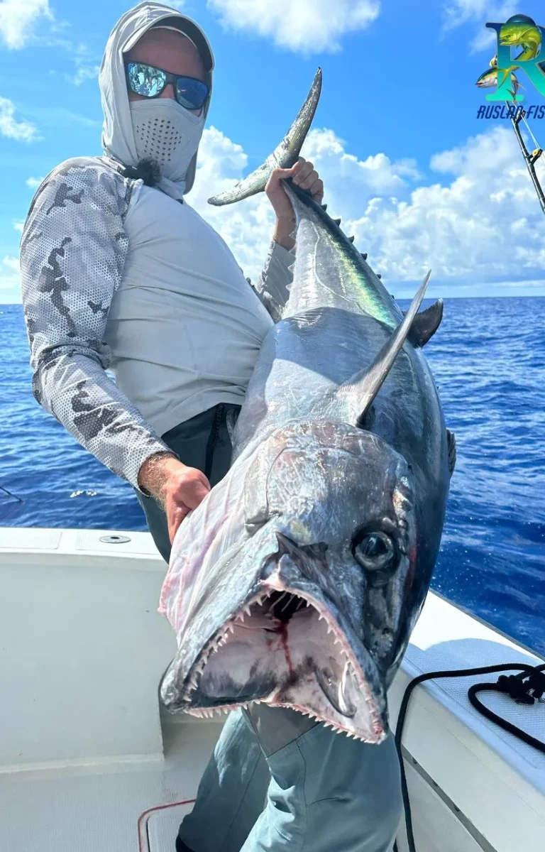 photo_2026-02-12_17-30-59