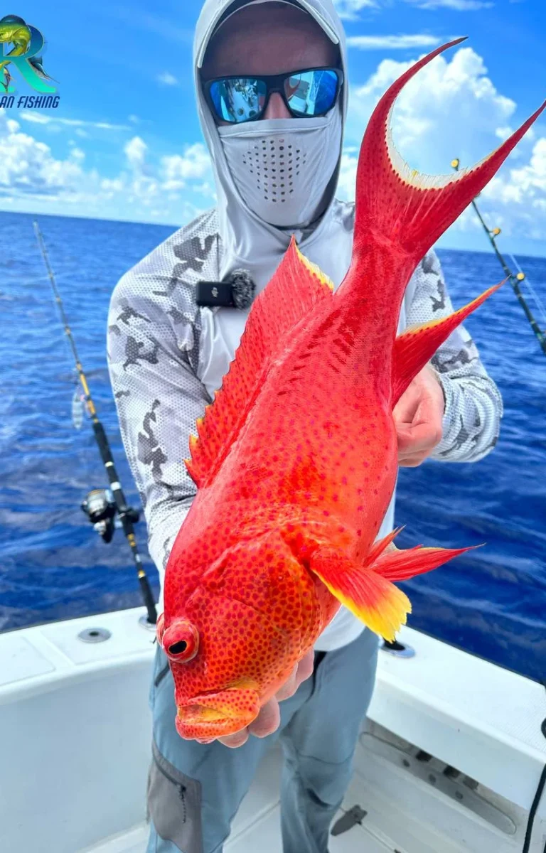 photo_2026-02-12_17-31-01