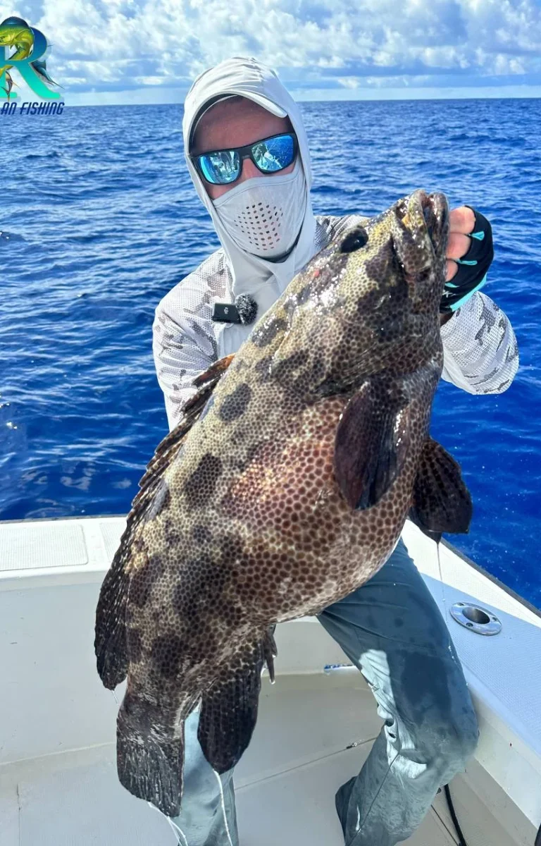 photo_2026-02-12_17-31-03