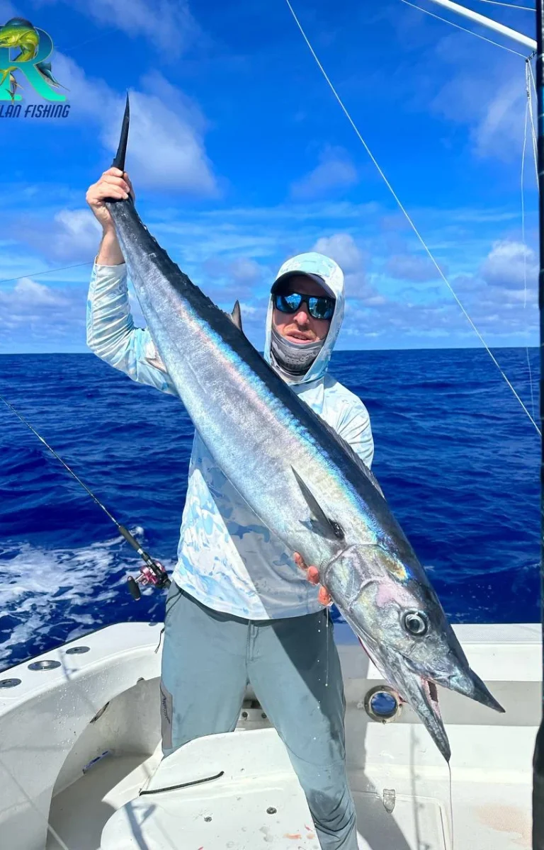 photo_2026-02-12_17-31-04