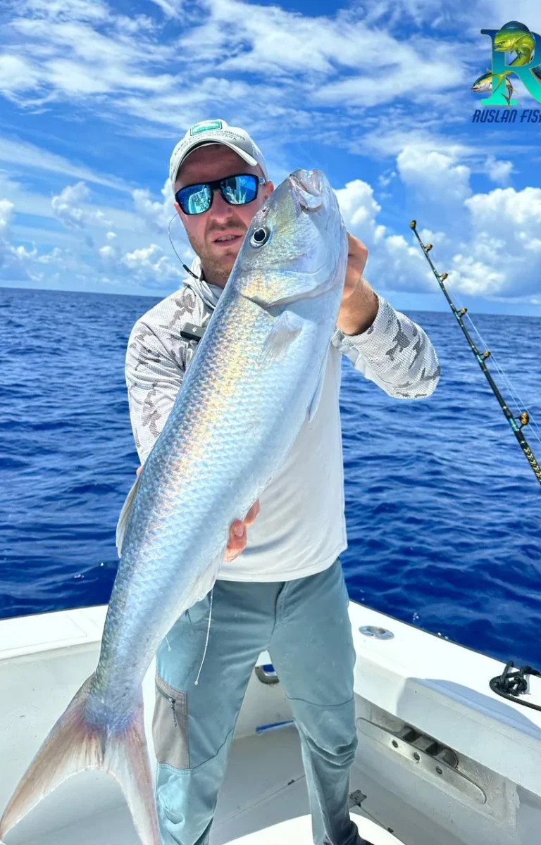 photo_2026-02-12_17-31-05