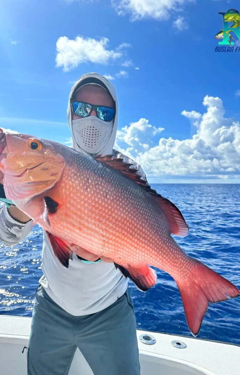 photo_2026-02-12_17-31-07