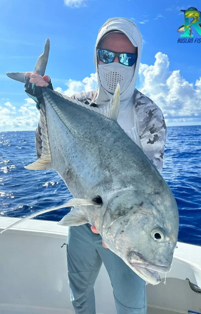 photo_2026-02-12_17-31-08