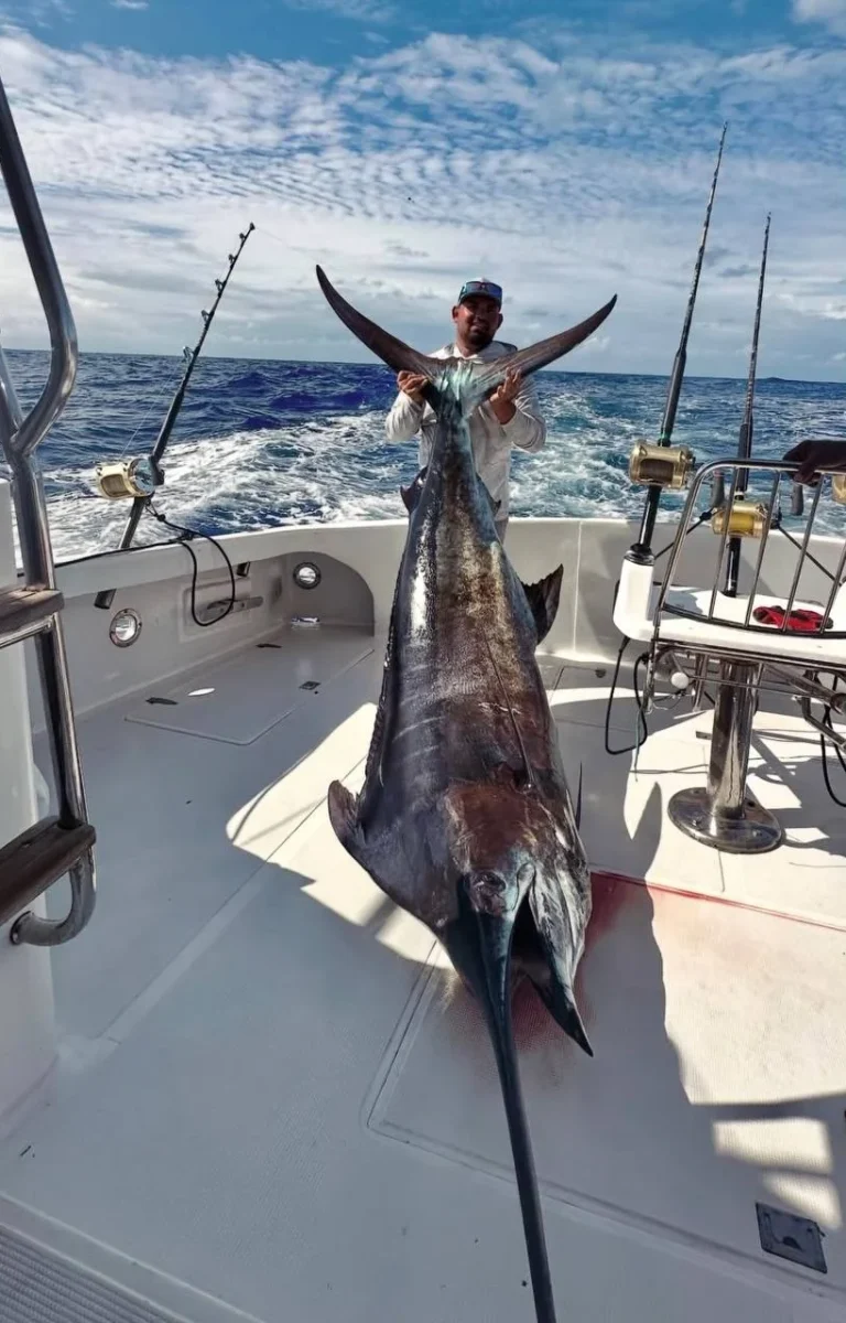 photo_2026-02-12_17-44-13